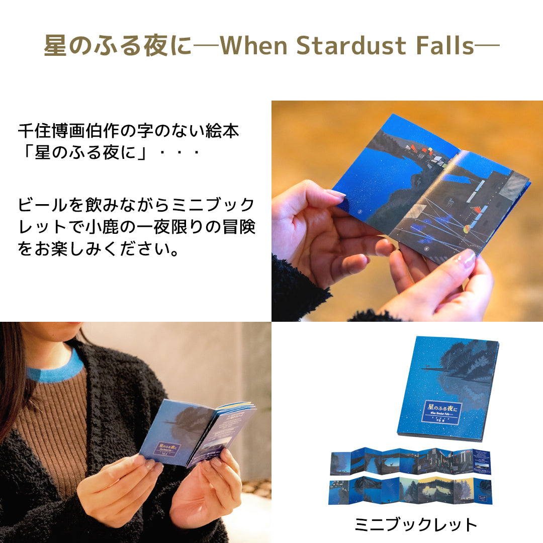 THE軽井沢ビール 特選瓶ギフト 330ml瓶×24本 T-BE