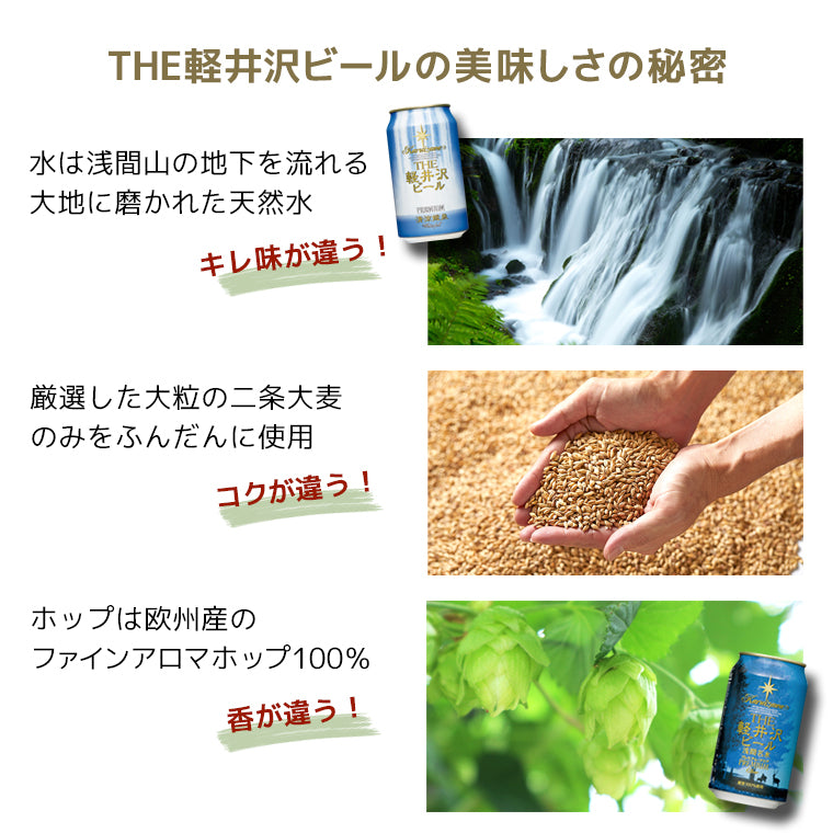 【父の日ギフト】クリアファイル付き THE軽井沢ビール ギフト 330ml瓶×2本 350ml缶×6本 G-RI-F