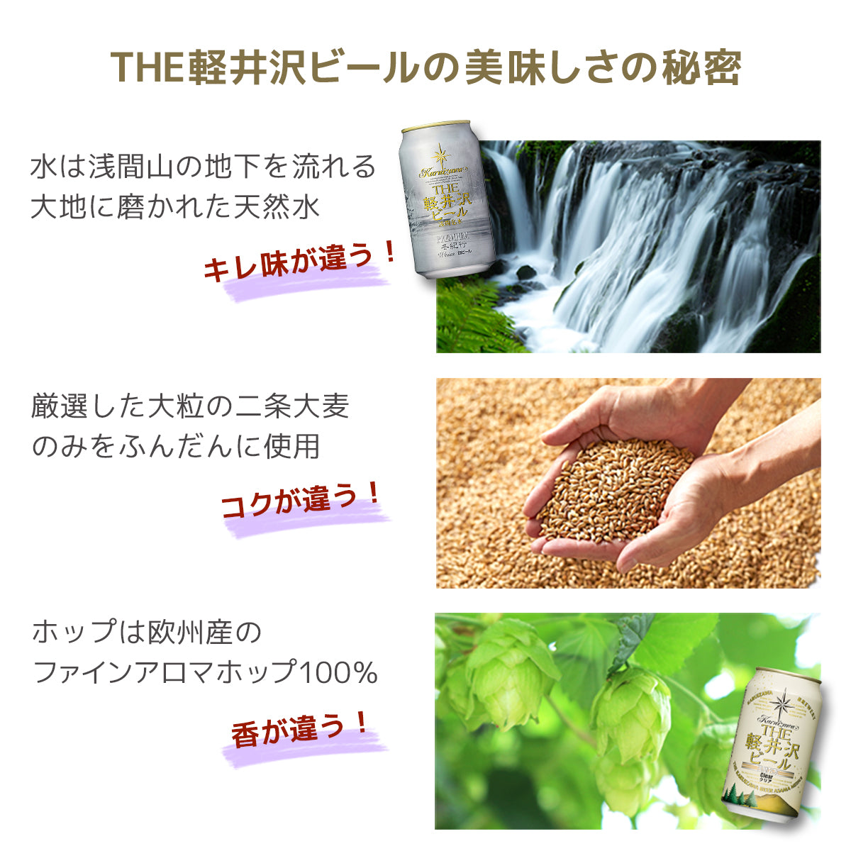 【クリスマスカード付き】THE軽井沢ビール 冬紀行プレミアム入り 6種飲み比べセット 350ml缶×6本