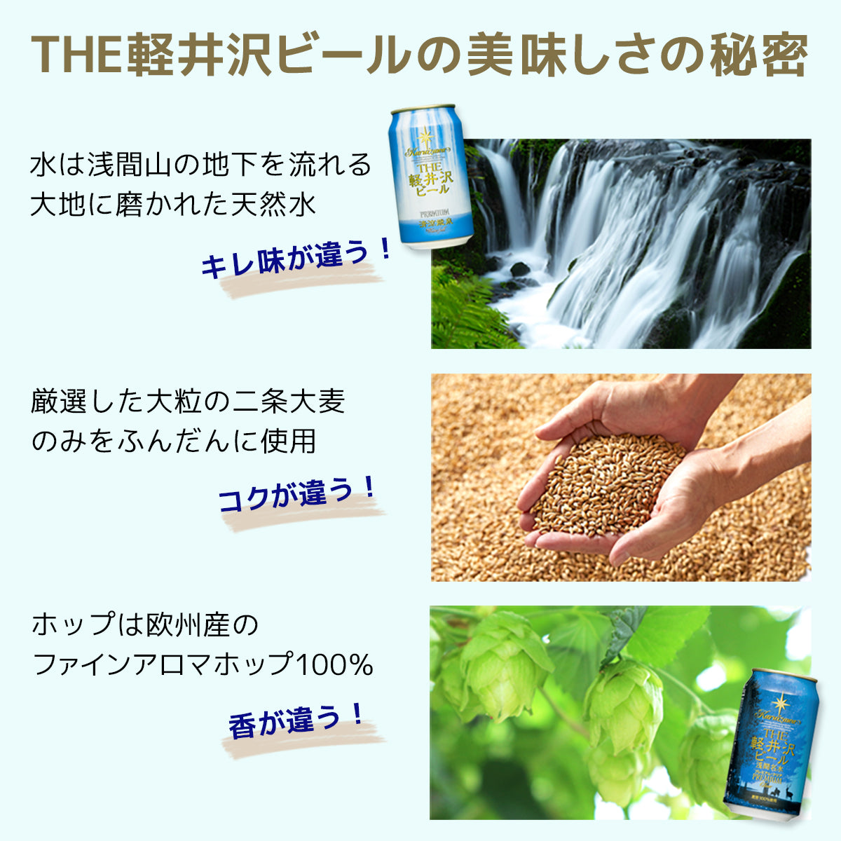 【父の日ギフト】メッセージシート付き THE軽井沢ビール ギフト 330ml瓶×2本 350ml缶×6本 G-RI-F