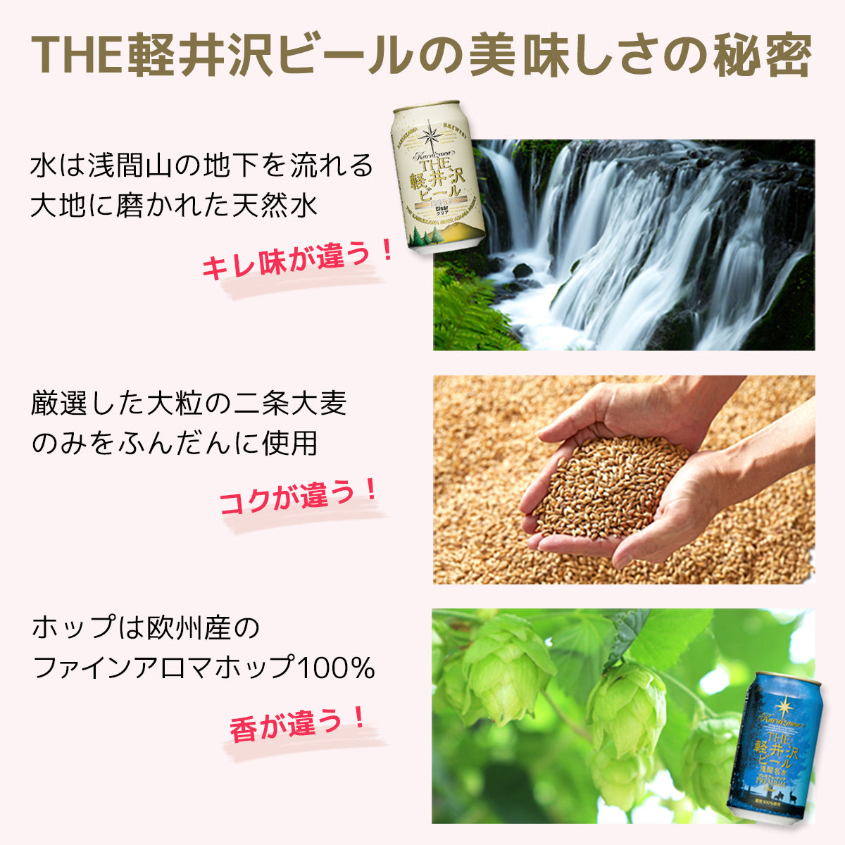 【母の日ギフト】メッセージシート付きTHE軽井沢ビール ギフト 350ml缶×8本 G-GZ-M