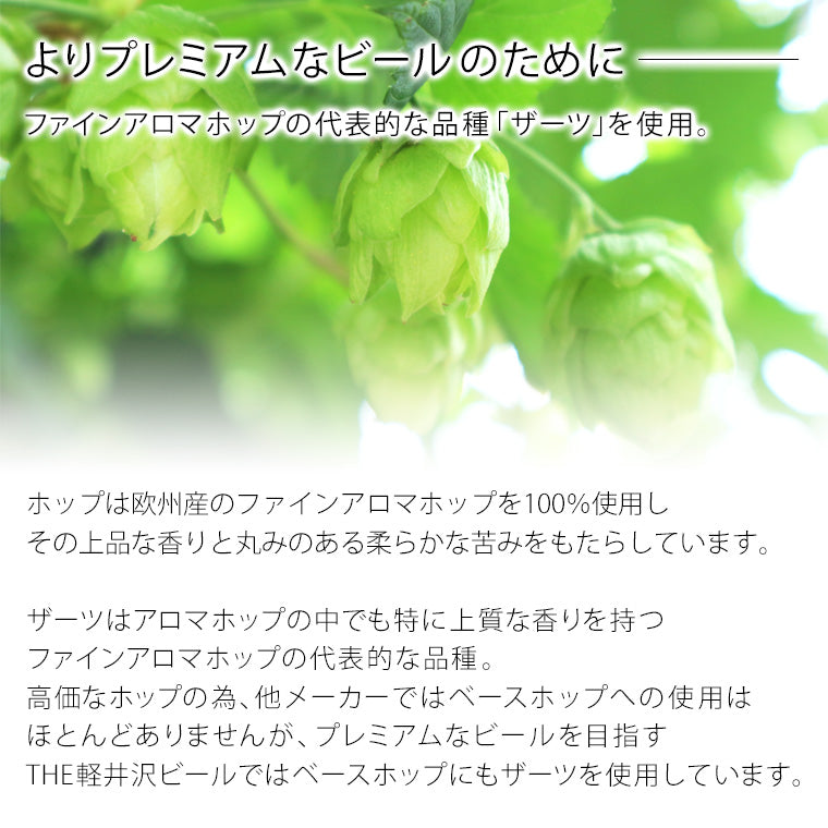 THE軽井沢ビール プレミアム・ダーク 350ml缶・ケース販売（24本）