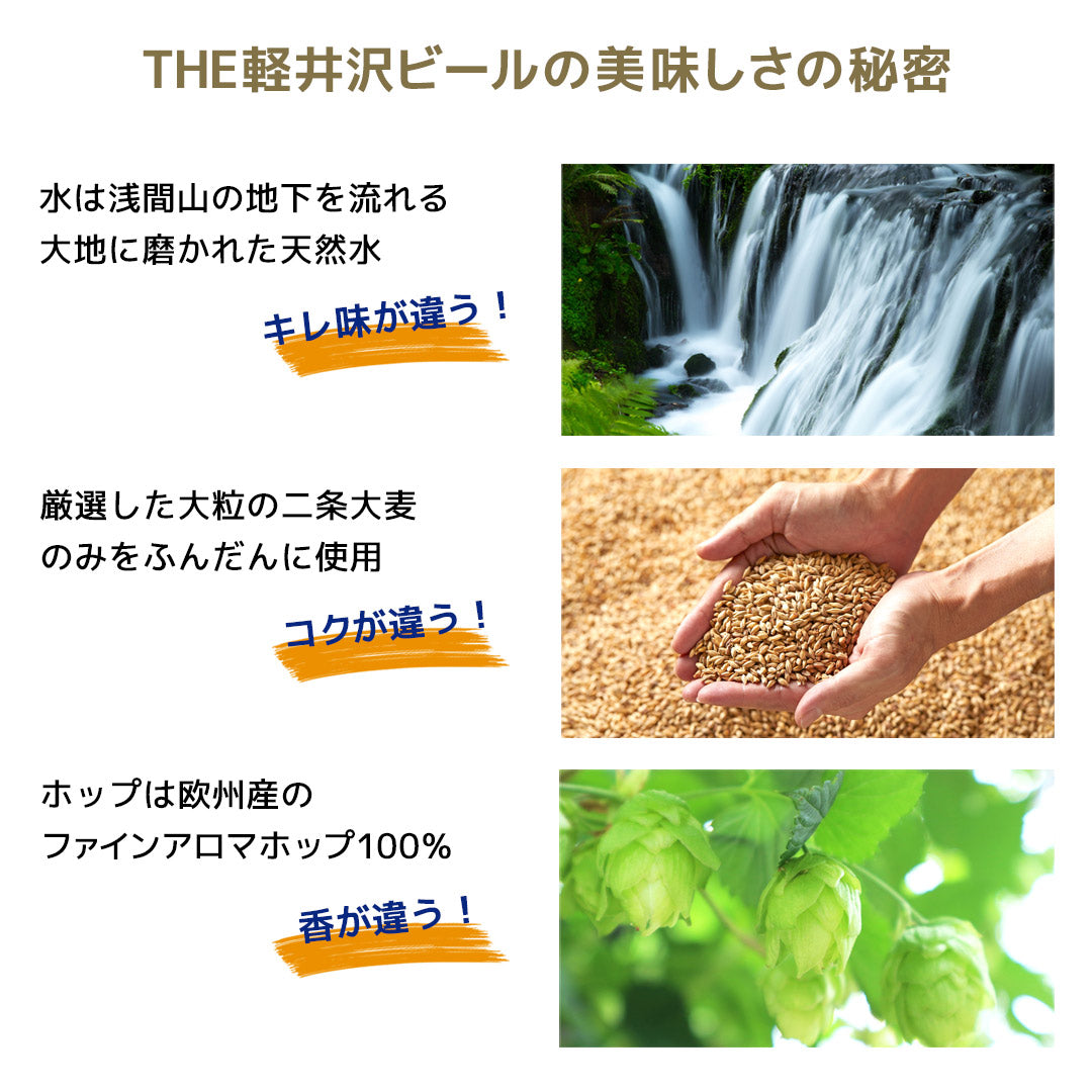 【送料無料】THE軽井沢ビール 高原の錦秋入り 6種飲み比べセット 350ml缶×6本 N-DL